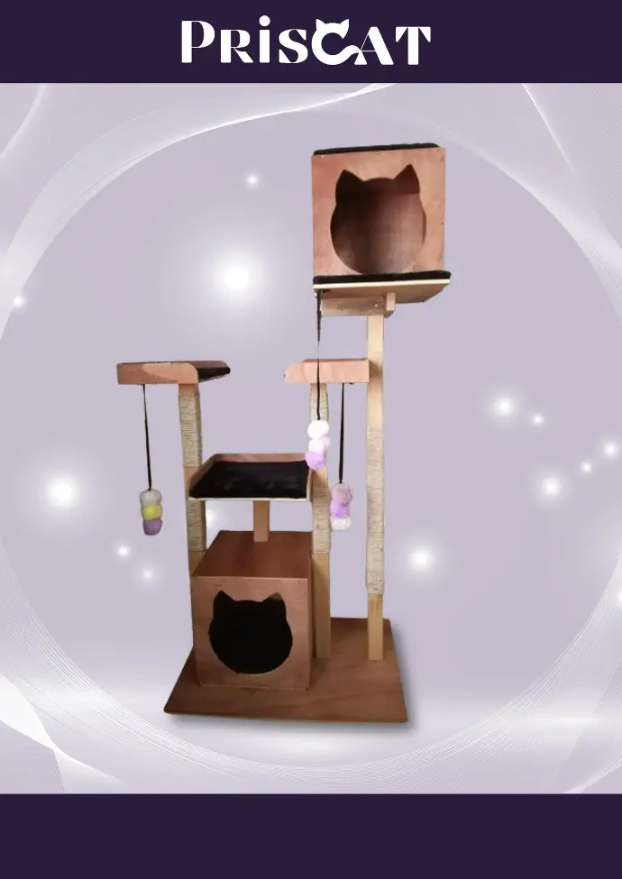 6- A. Cima Van Turco