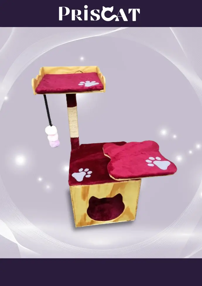 5- C. Refugio Cálico