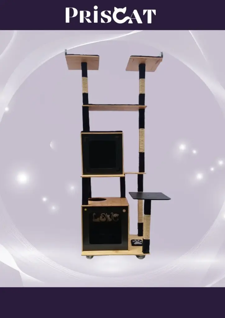 8- A. Escala Maine Coon - YS