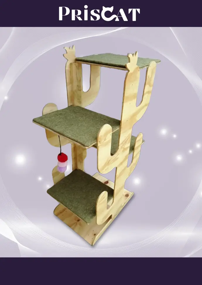 9- T. Cat-Ups Abisinio