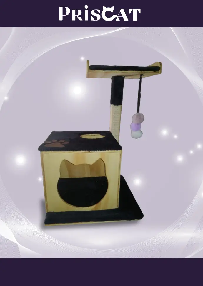 4- C. Nido Bengali - JV 