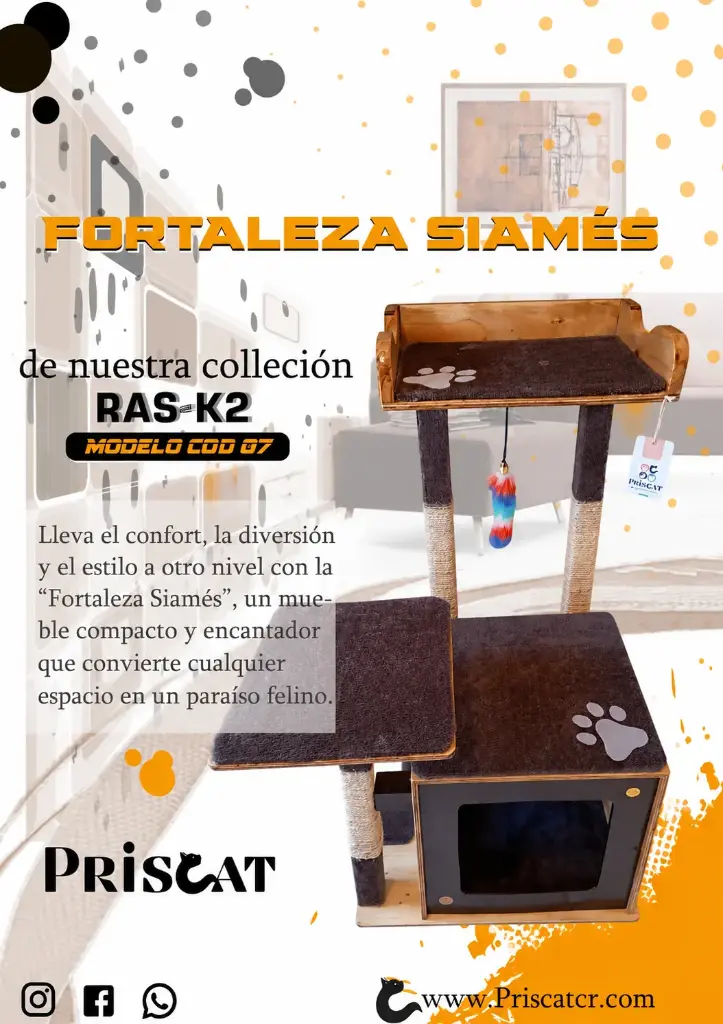 7- C. Fortaleza Siamés - MQ