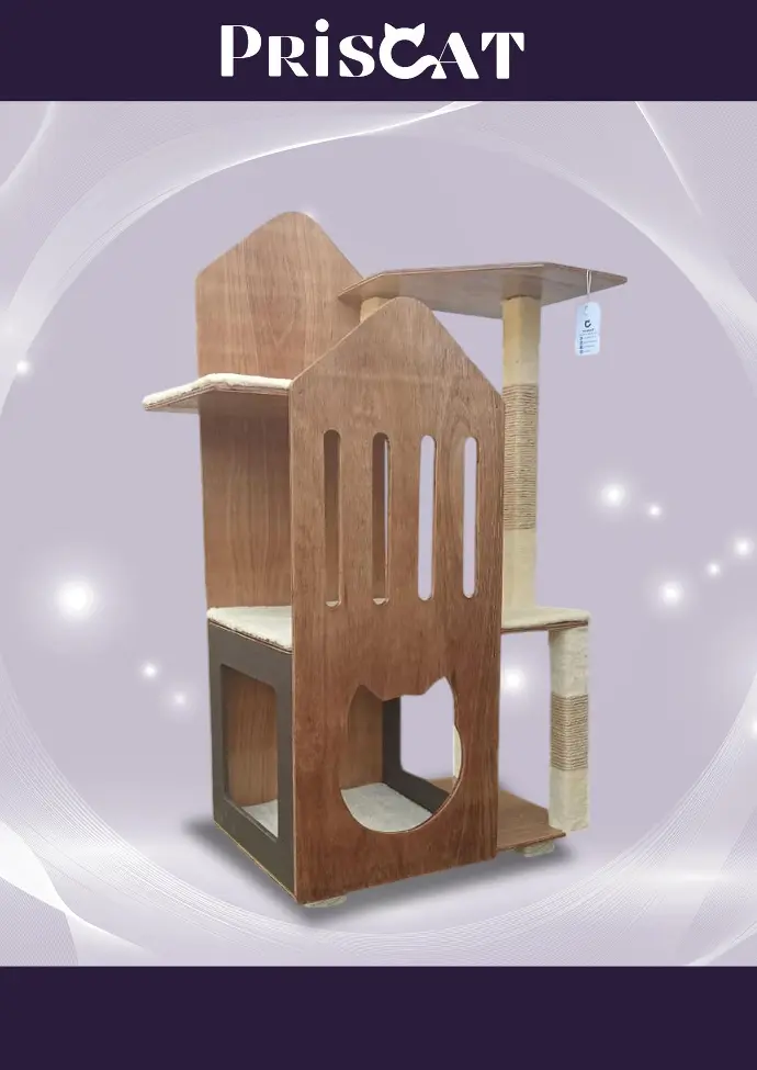 12- T. Alcoba Munchkins