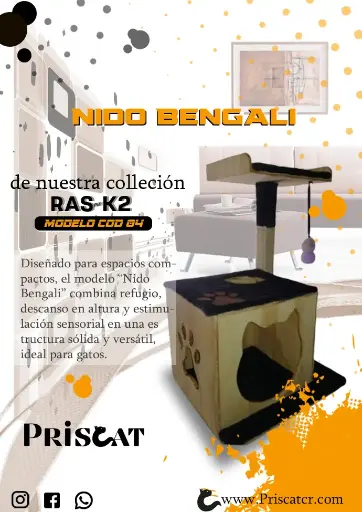 4- C. Nido Bengali - JV 