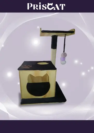 4- C. Nido Bengali - JV 