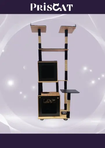 8- A. Escala Maine Coon - YS