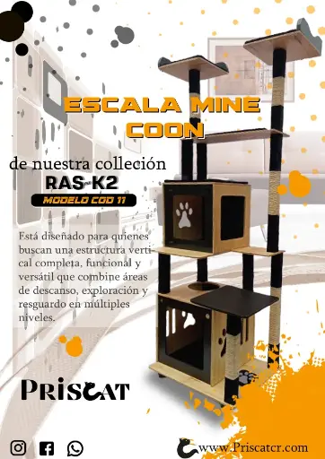 8- A. Escala Maine Coon - YS
