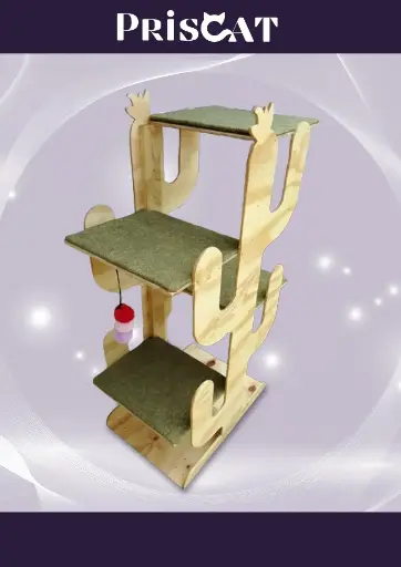 9- T. Cat-Ups Abisinio