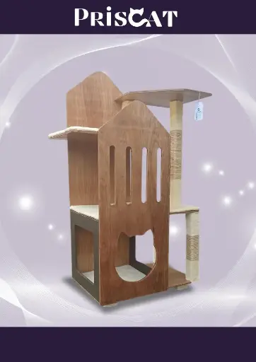 12- T. Alcoba Munchkins