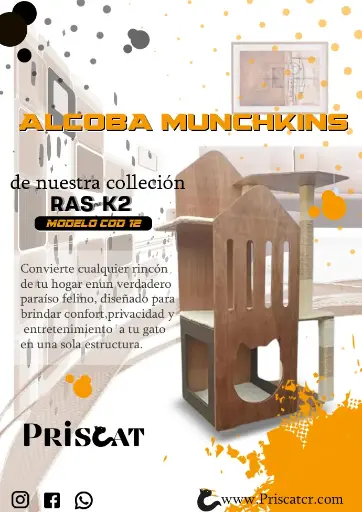 12- T. Alcoba Munchkins